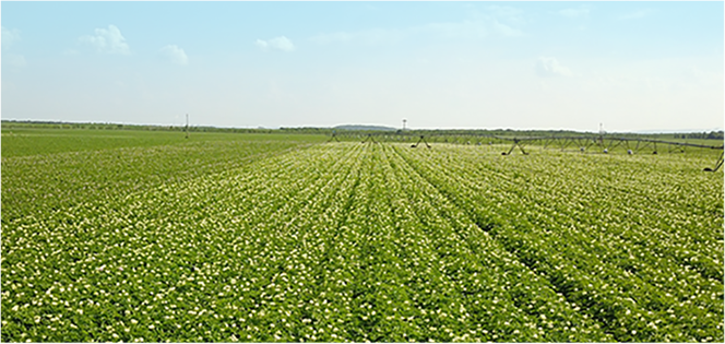 EBET易博·(中国)官方平台